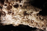 Wind Cave NP, SD