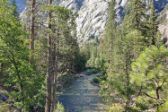 Kings Canyon NP, CA