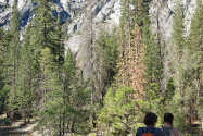 Kings Canyon NP, CA