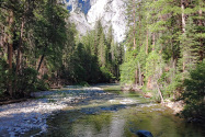 Kings Canyon NP, CA