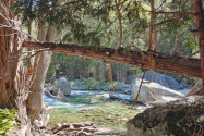Kings Canyon NP, CA