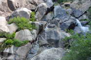 Kings Canyon NP, CA