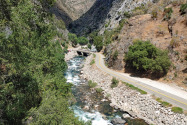 Kings Canyon NP, CA