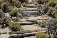 Mono Lake, CA