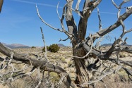 Mono Lake, CA