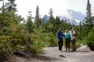 Mt. Rainier NP & Mount St. Helens NVM, WA