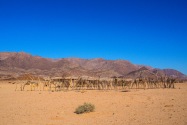Village Namibia