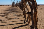 Village Namibia
