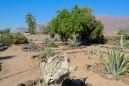 White Lady Namibia