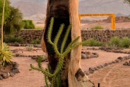 White Lady Namibia