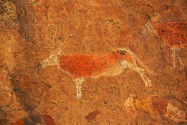 White Lady Pictographs Namibia