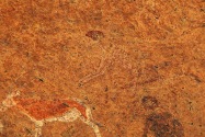 White Lady Pictographs Namibia
