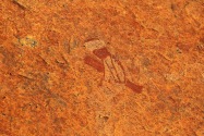 White Lady Pictographs Namibia