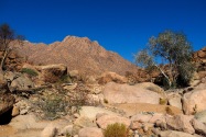White Lady Pictographs Namibia
