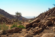 White Lady Pictographs Namibia