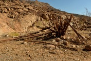 White Lady Pictographs Namibia