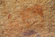 Spitzkoppe Petroglyphs Namibia