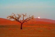 Sossusvlei Namibia