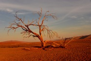 Sossusvlei Namibia