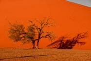 Sossusvlei Namibia
