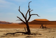Deadvlei Namibia