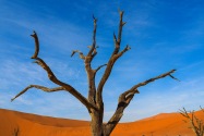 Deadvlei Namibia