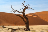 Deadvlei Namibia