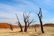 Deadvlei Namibia
