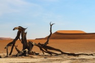 Deadvlei Namibia