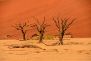 Deadvlei Namibia