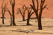 Deadvlei Namibia