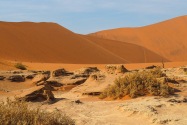 Namib-Naukluft NP Namibia