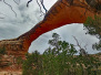 Natural Bridges NM