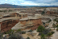 Natural Bridges NM UT