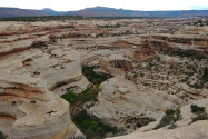 Natural Bridges NM UT