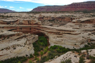 Natural Bridges NM UT