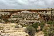 Natural Bridges NM UT