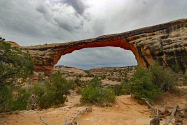 Natural Bridges NM UT
