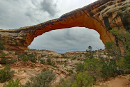 Natural Bridges NM UT
