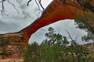 Natural Bridges NM UT