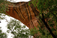 Natural Bridges NM UT