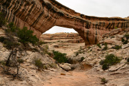Natural Bridges NM UT