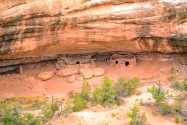 Natural Bridges NM UT