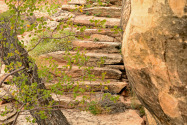 Natural Bridges NM UT