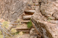 Natural Bridges NM UT