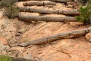 Natural Bridges NM UT