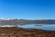 Black Rock Desert
