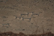 29-arequipa