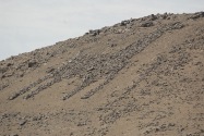 30-arequipa