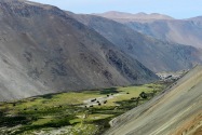 37-iquique